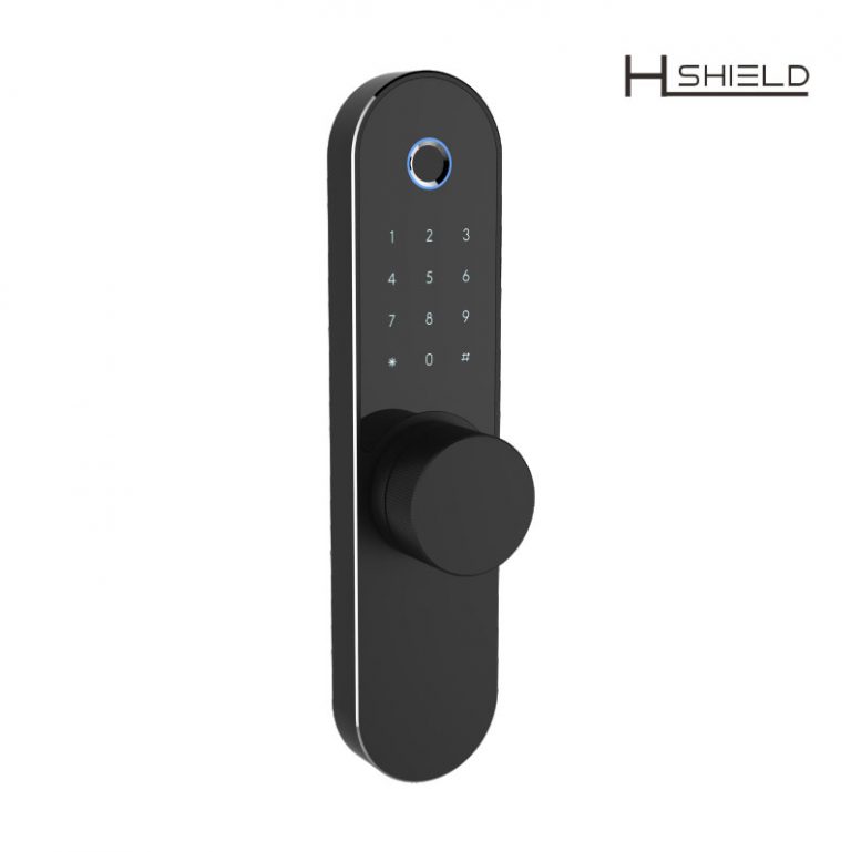 Residential Room Combination Fingerprint Smart Door Lock - Home Shield